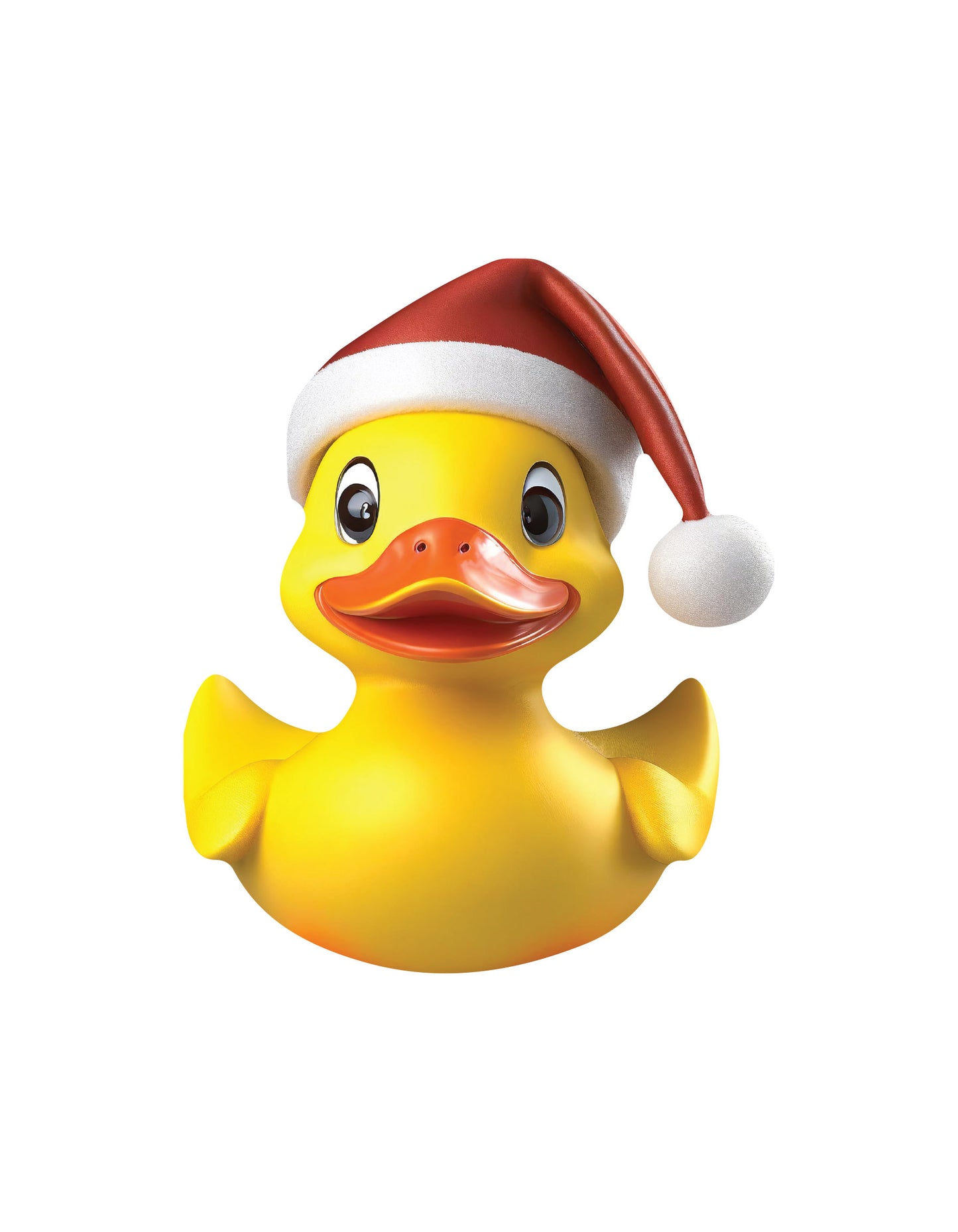 Magnetic Ducks Fits - Christmas Duck