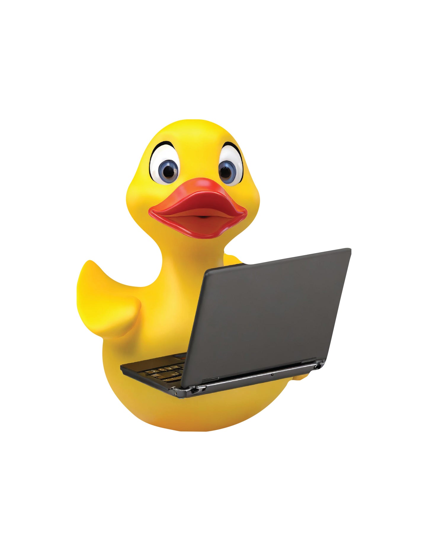 Magnetic Ducks Fits - Laptop Duck
