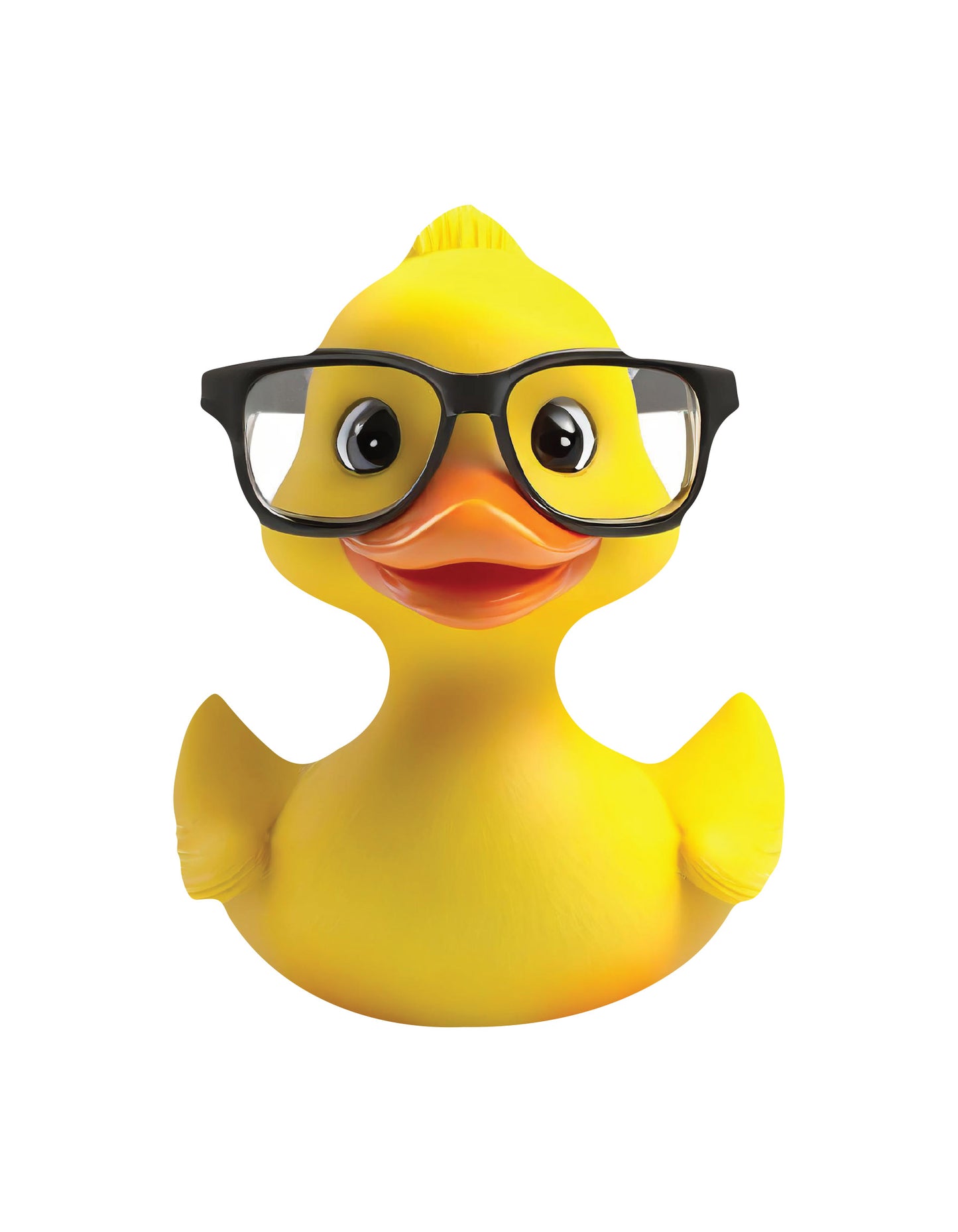 Magnetic Ducks Fits - Glasses Duck