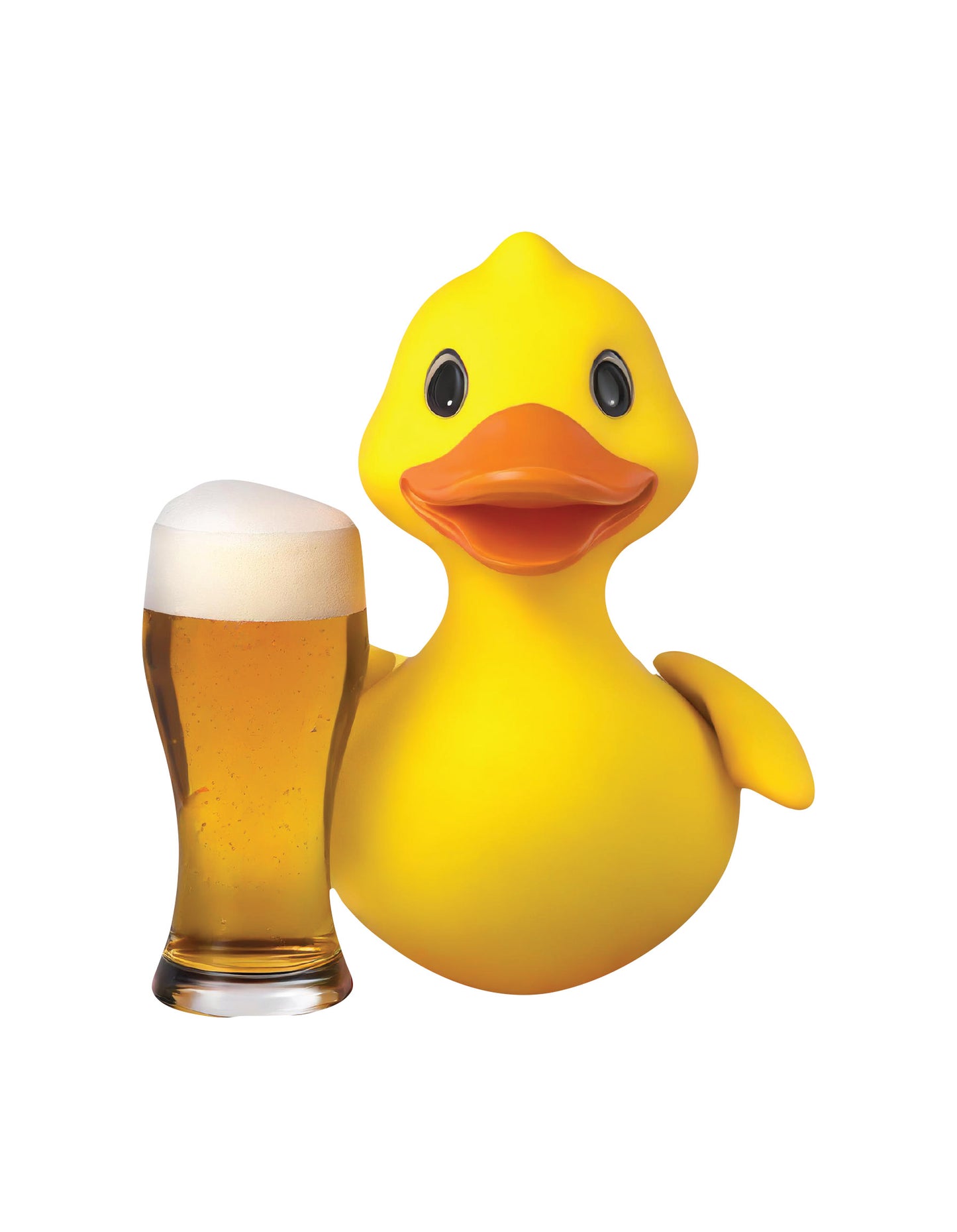 Magnetic Ducks Fits - Drunk Duck