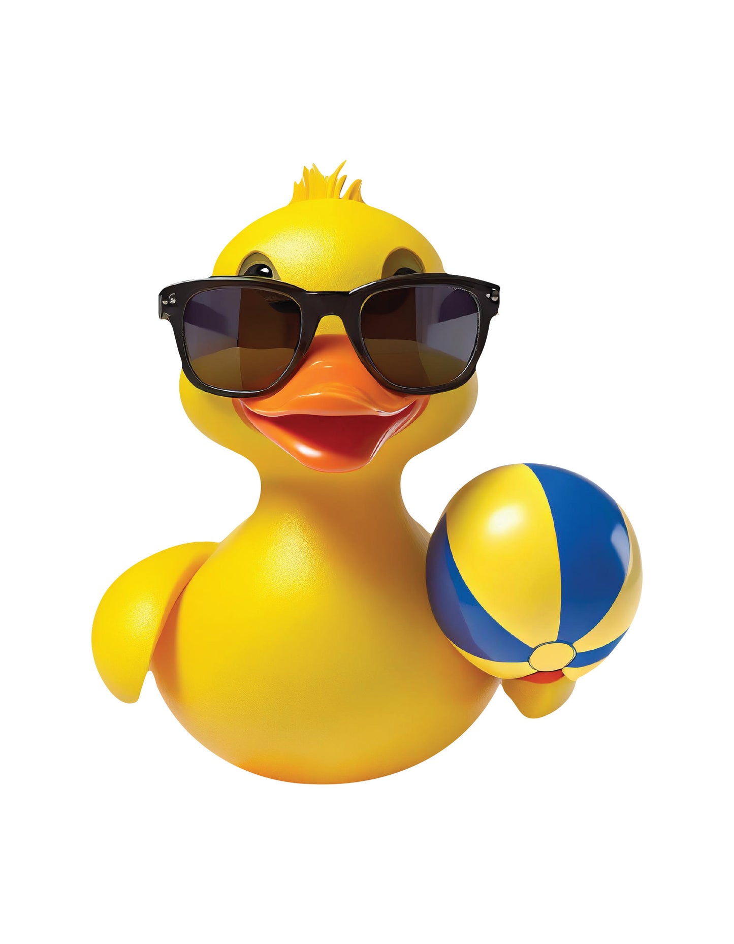 Magnetic Ducks Fits - Beach Duck